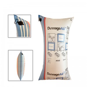 air dunnage bag